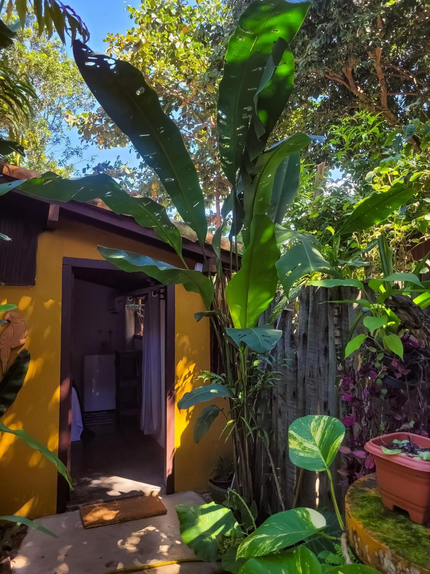 Pousada Raiz Forte Карайва Экстерьер фото