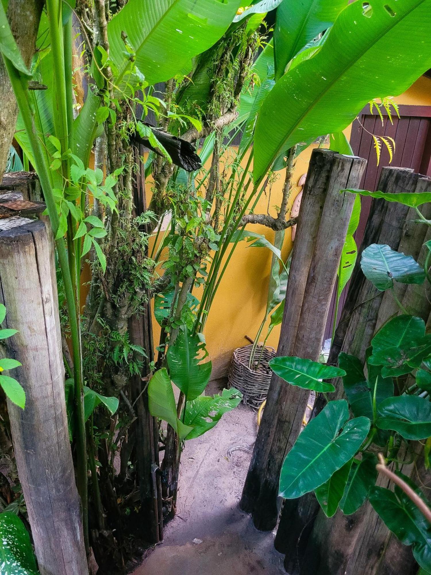 Pousada Raiz Forte Карайва Экстерьер фото