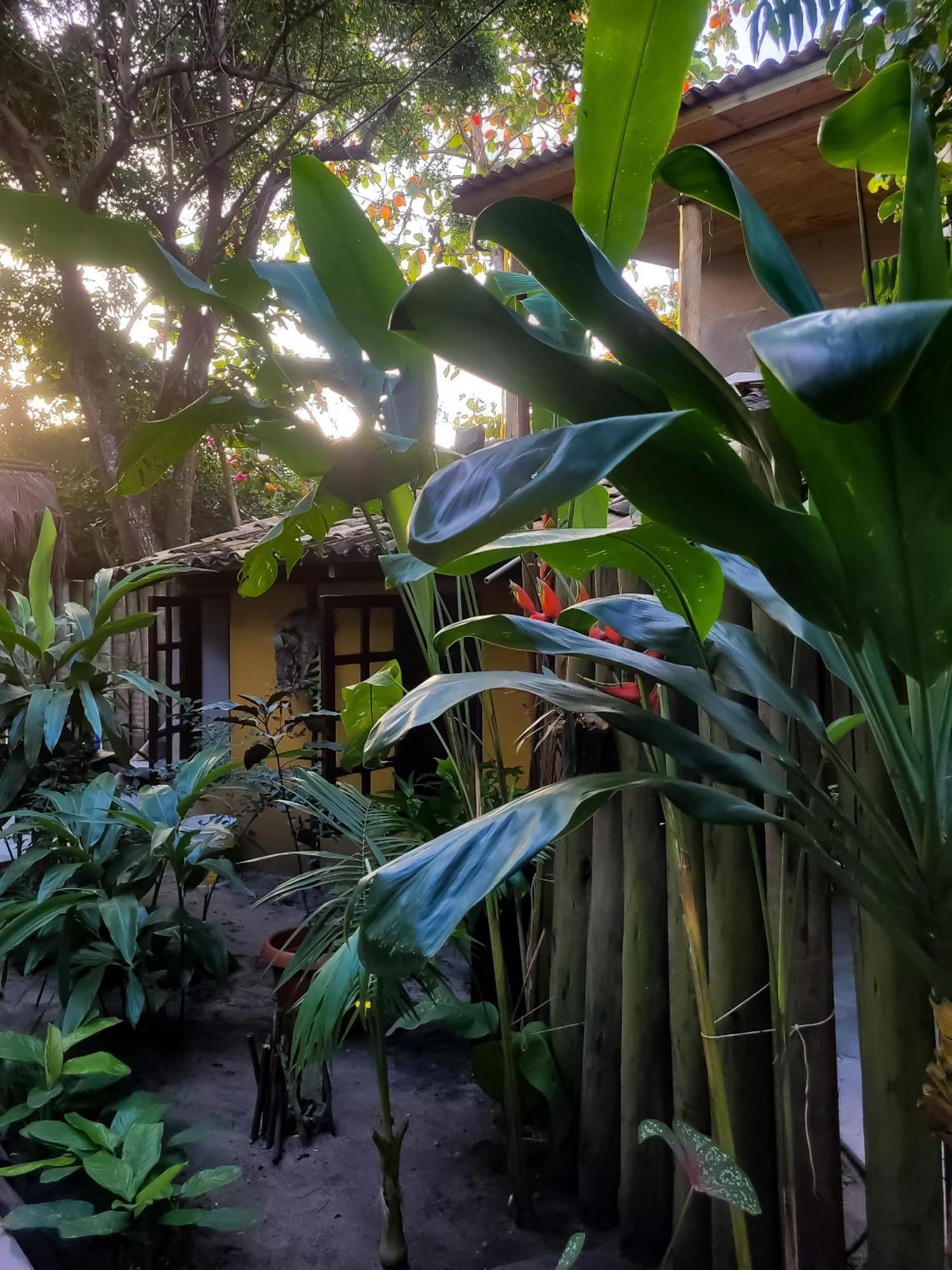 Pousada Raiz Forte Карайва Экстерьер фото